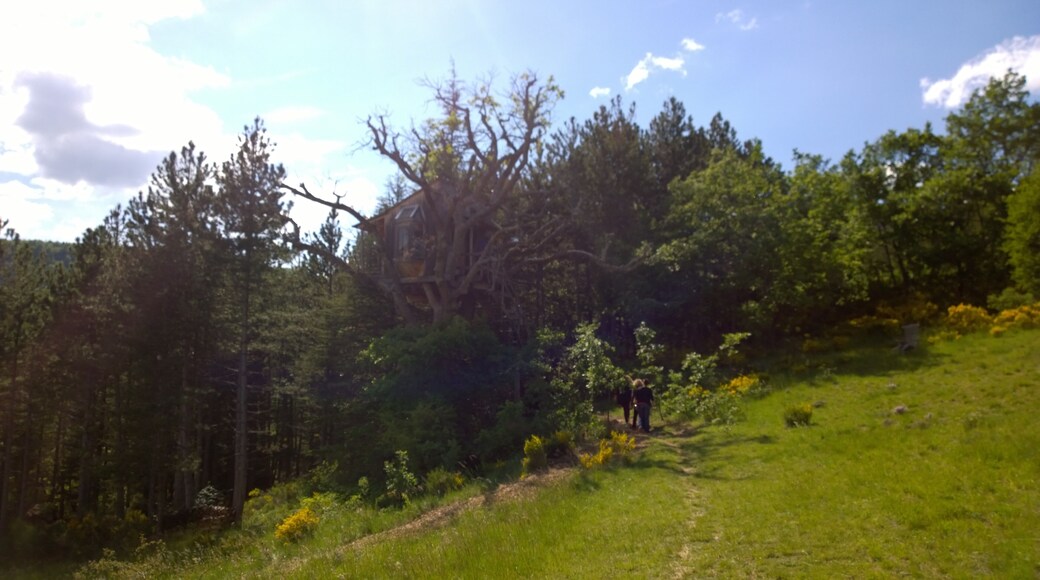 04200 Bevons, France