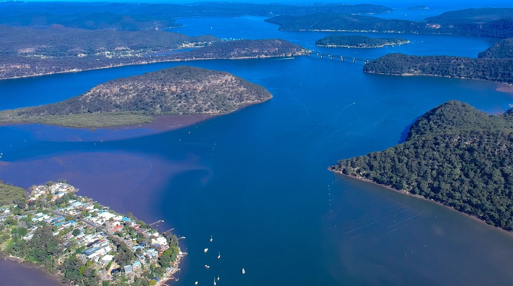 An aerial view of a coastal area with a bridge connecting two landmasses, surrounded by dense forests and clear blue waters.