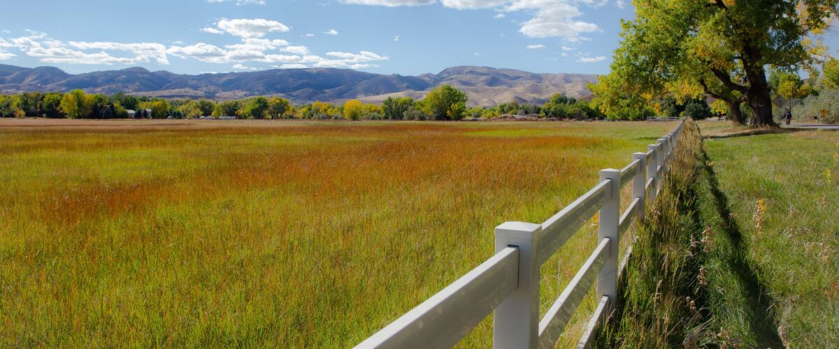 Late summer fields and sky, Laporte Colorado