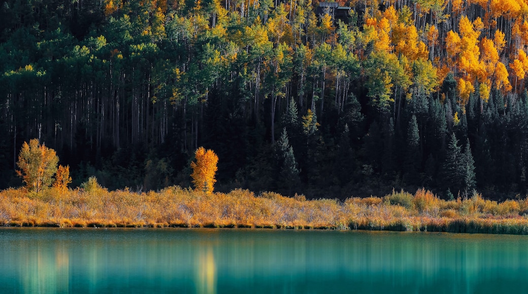 Beaver lake reflections in fresh turquoise water near Marble Colorado in autumn time, panoramic view.