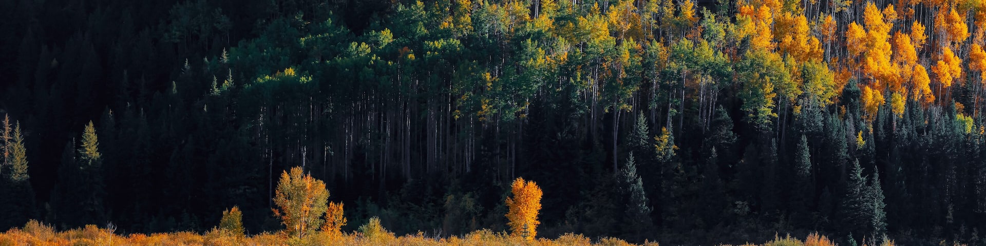 Beaver lake reflections in fresh turquoise water near Marble Colorado in autumn time, panoramic view.