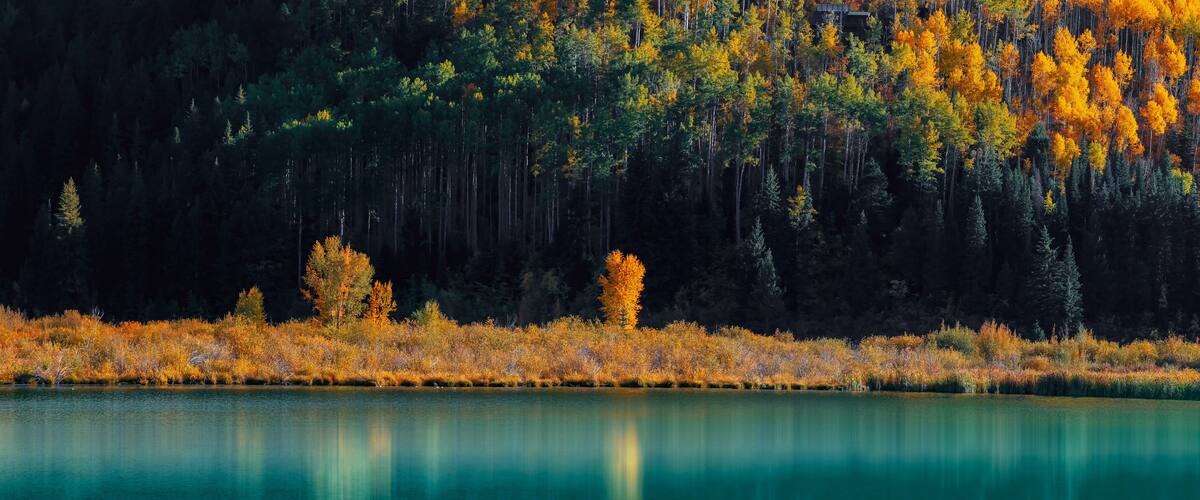 A calm lake surrounded by autumn-colored trees and a dense forest.