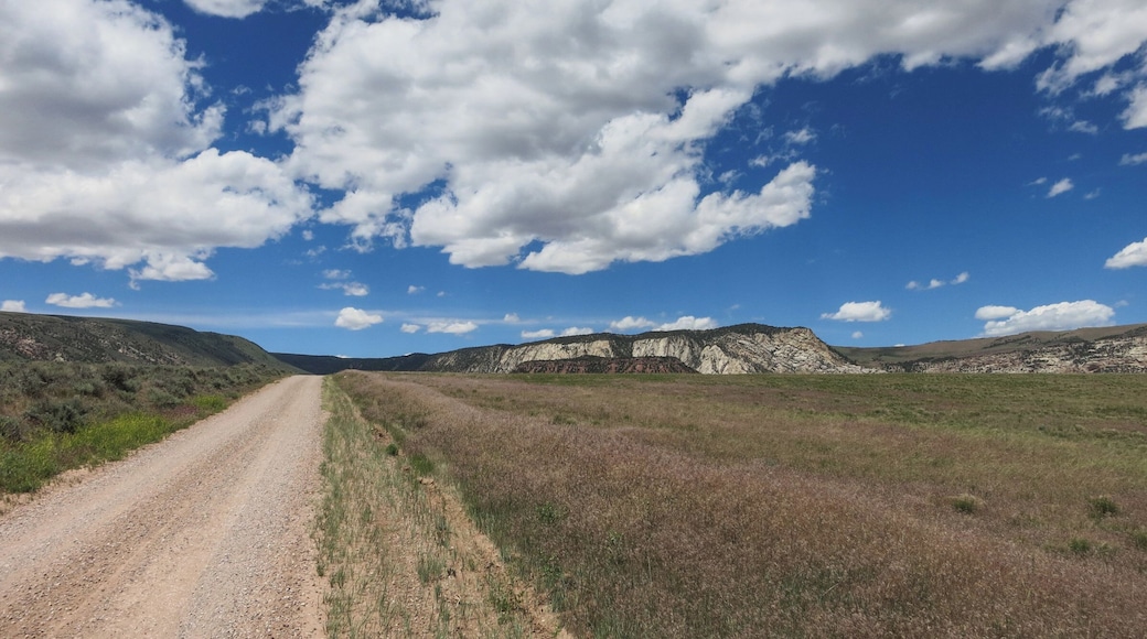 A beautiful dirt road in Dinosaur National Monument winding down to the confluence of the Yampa and Green rivers.
#lifeatexpedia