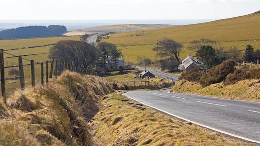 Farmsteads south of Bwlch-gwynt Ty-llosg to the right, Dolau-bach to the left.