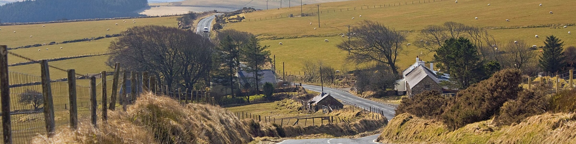 Farmsteads south of Bwlch-gwynt Ty-llosg to the right, Dolau-bach to the left.