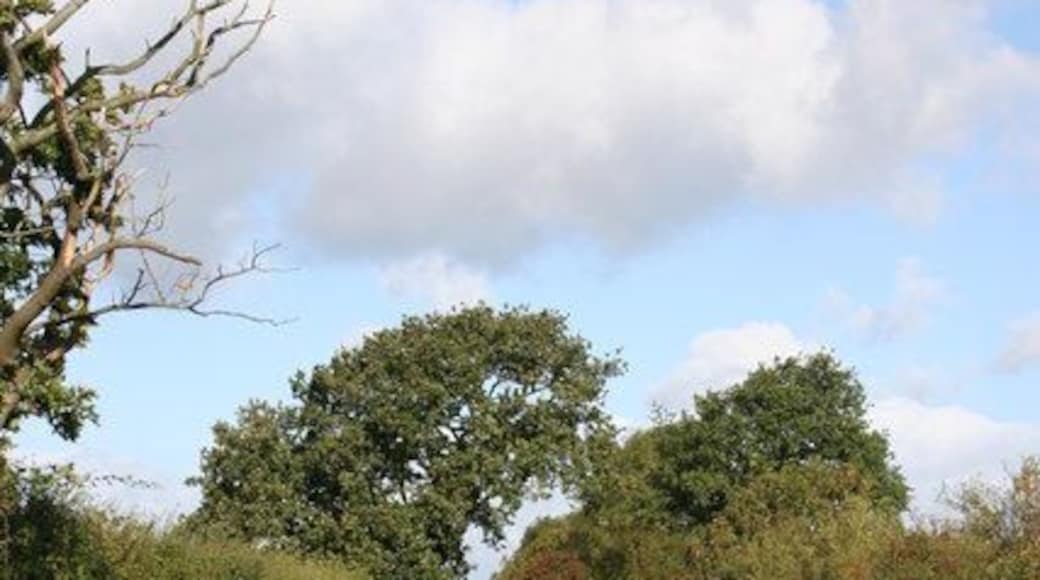Moor Lane Moor Lane is a public footpath/bridleway and this stretch is 1 mile long to the T junction at the top of the picture.