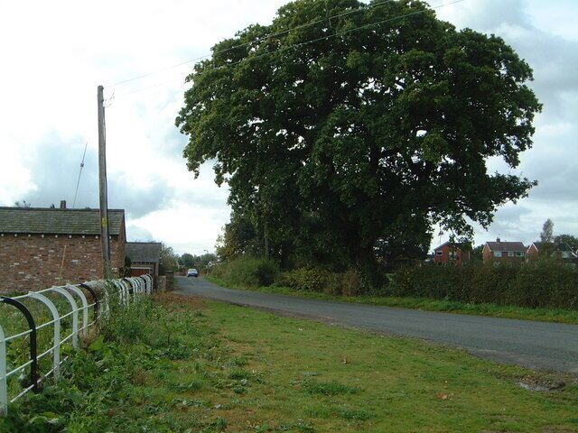 A rural road with a large tree on the right, a brick building on the left, and houses in the background.