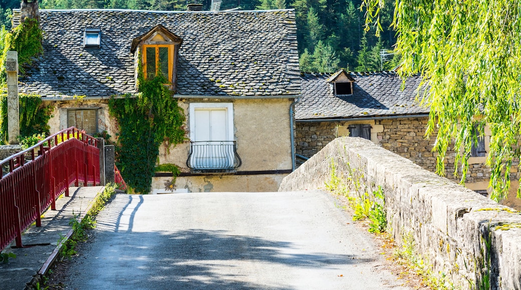 Medieval city of Les Salelles