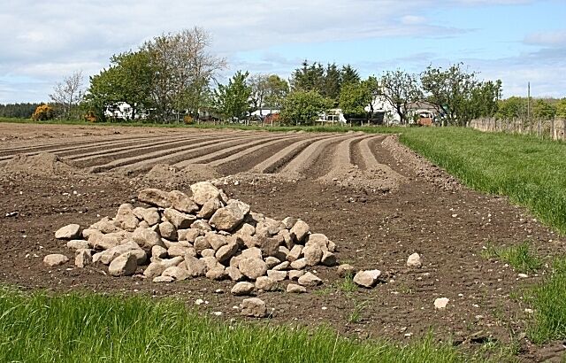 Bogalee It seems amazing that after this land has been farmed for millennia, there can still be so many boulders to remove before planting the seed potatoes. The croft of Bogalee, beyond the field, is on the edge of the grid square.