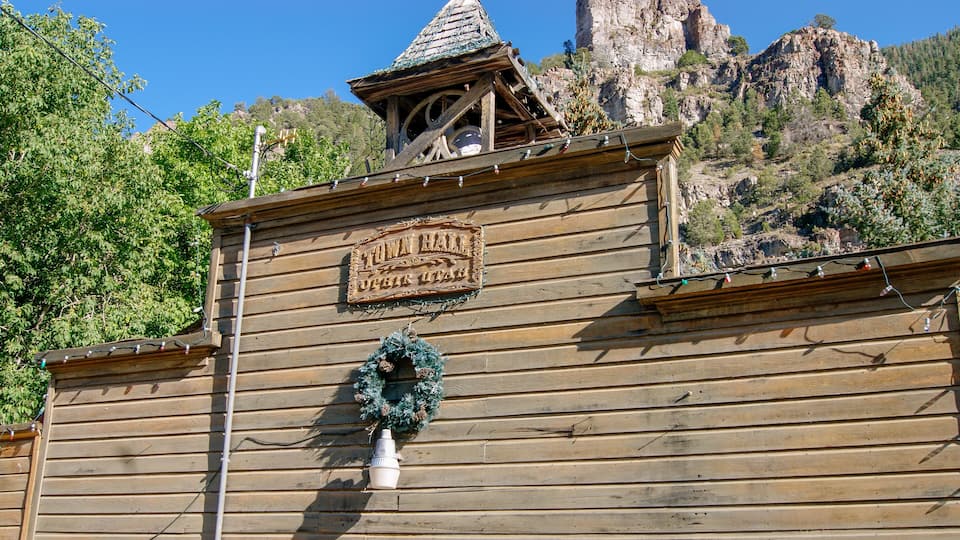 A wooden building with a sign that reads "Town Hall."