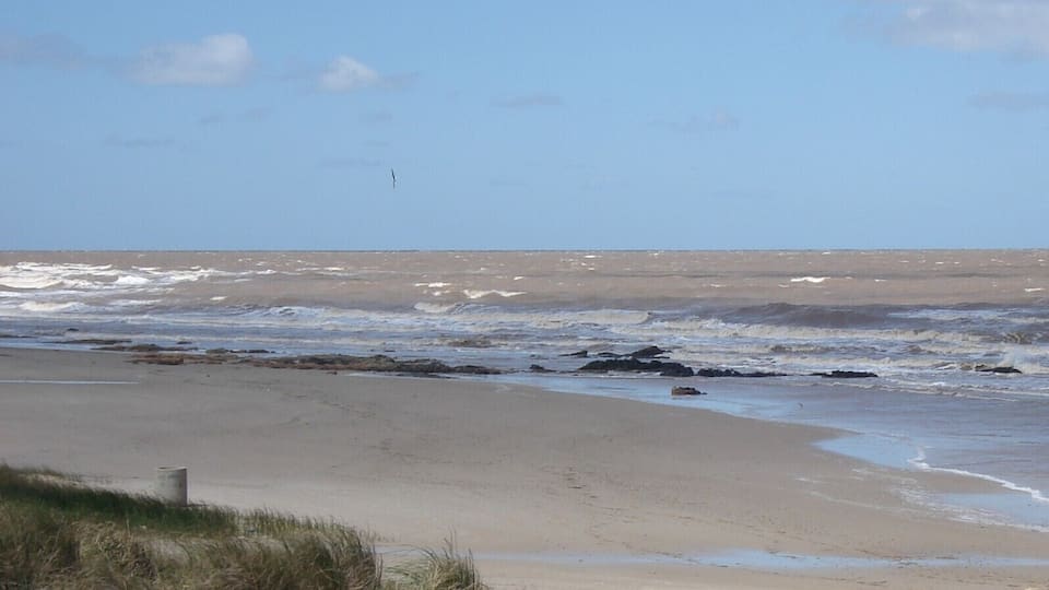 A beach with waves, a bird flying, and a clear sky.