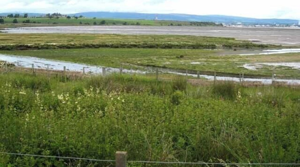 Udale Bay The tidal flats on this arm of Cromarty Firth are the haunt of many birds and forms an RSPB reserve.