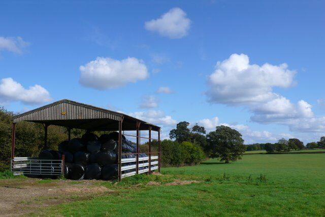 Barn at Princes Place This barn is in a field just to the east of the A37