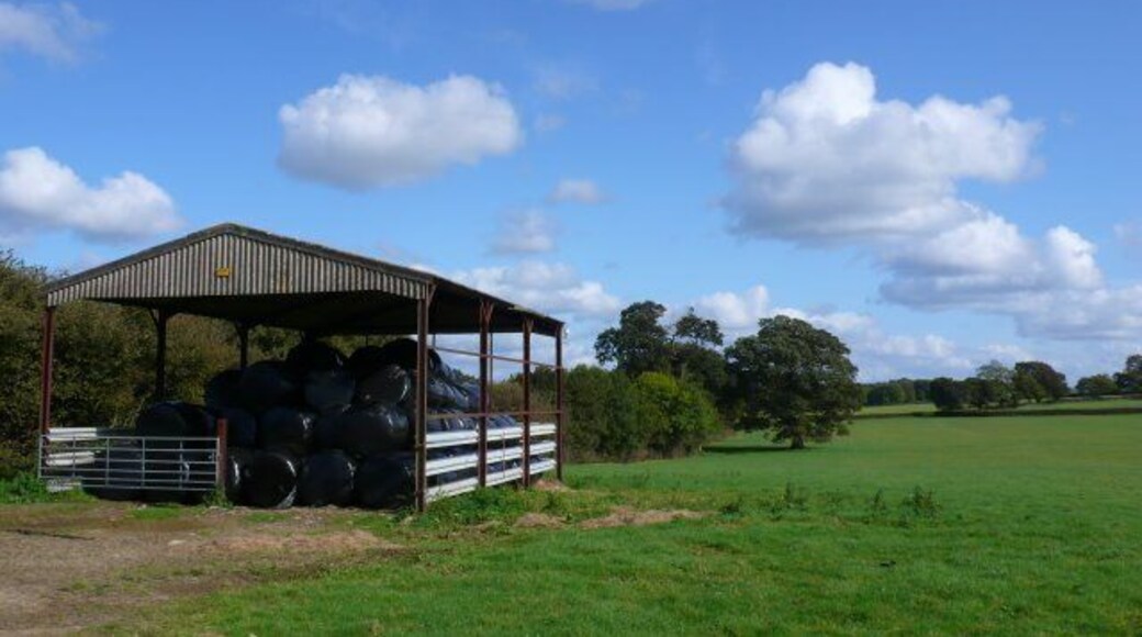 Barn at Princes Place This barn is in a field just to the east of the A37