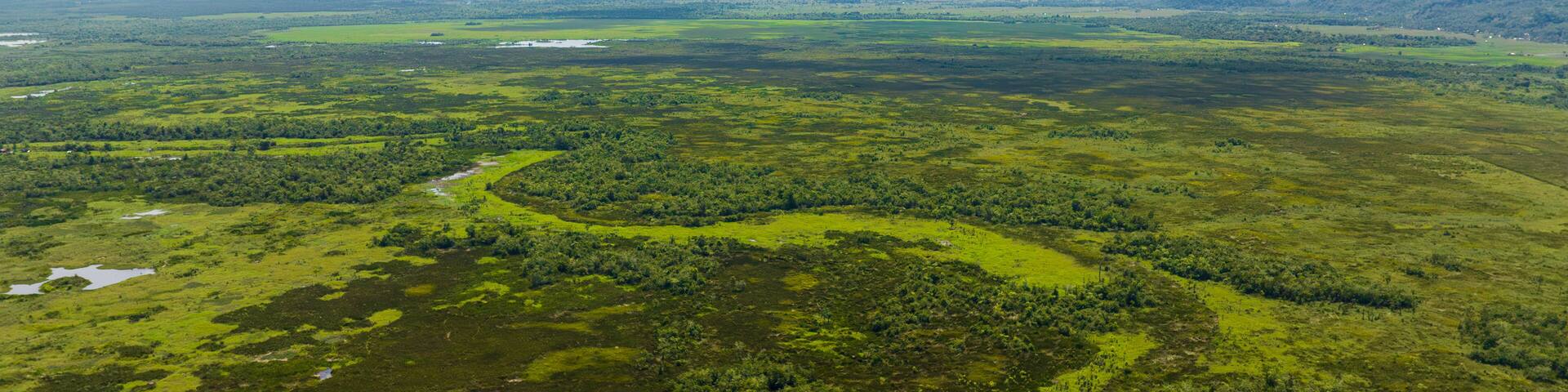 Green vegetation and marshland, blue sky and clouds. Mindanao, Philippines.