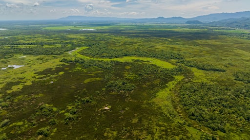 Green vegetation and marshland, blue sky and clouds. Mindanao, Philippines.