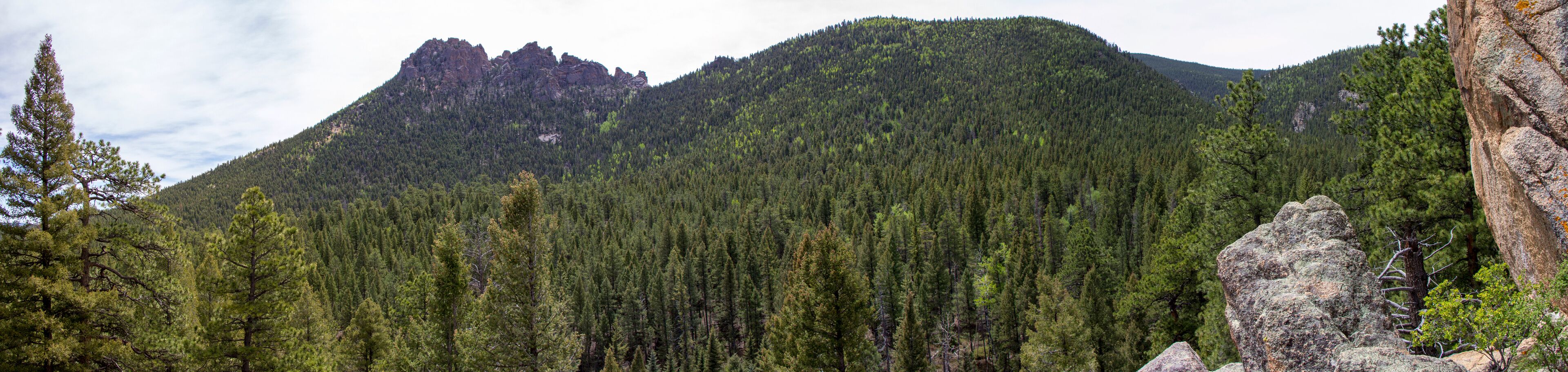 Rolling Creek Trail Autumn 2018