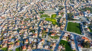 An aerial view of a densely populated urban area with a central green space and a large sports field.