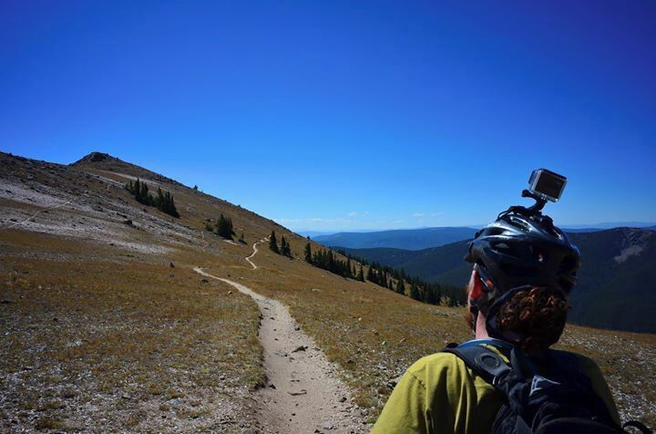 decisions, decisions