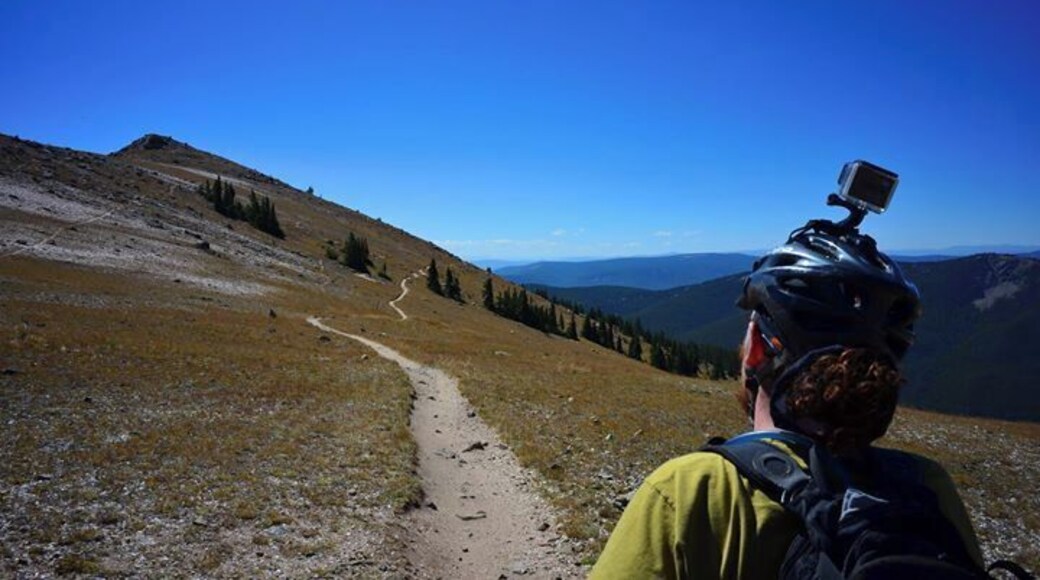 decisions, decisions