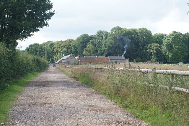 A gravel road flanked by greenery and a fence, leading to a building with smoke rising from its chimney.