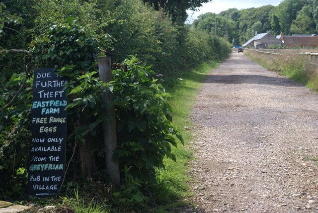 Track to Eastfield Farm, Chawton, Hampshire Beside the entrance, the sign makes sad reading. I did wonder, however, whether the eggs would be available in boxes of six, or swimming about in a jar of vinegar!