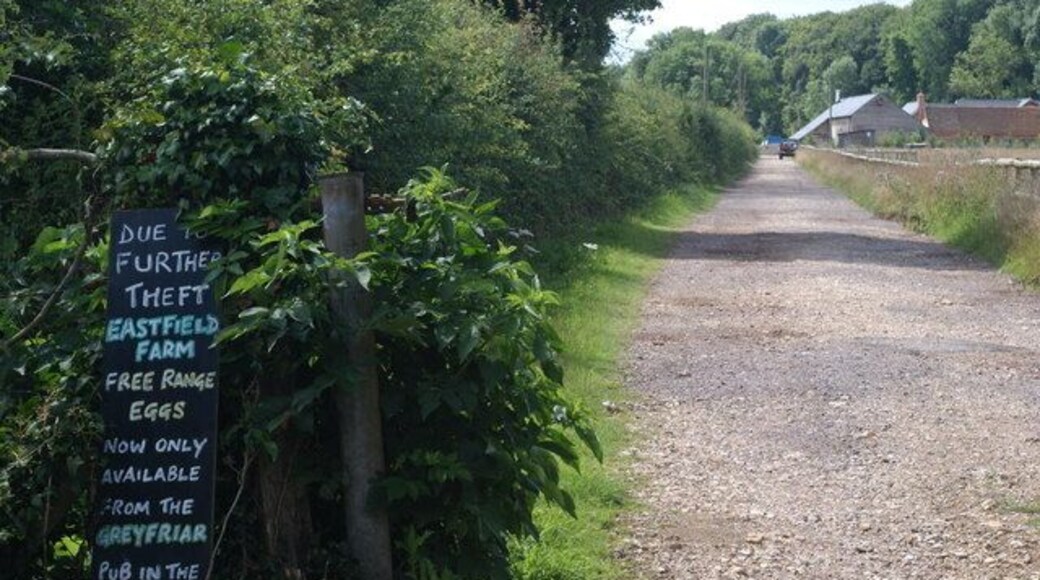 Track to Eastfield Farm, Chawton, Hampshire Beside the entrance, the sign makes sad reading. I did wonder, however, whether the eggs would be available in boxes of six, or swimming about in a jar of vinegar!