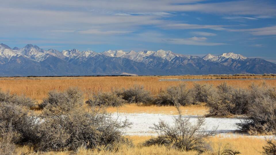 A mountain range with snow-capped peaks and a foreground of dry grassland.