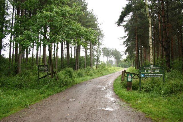 Willingham Woods Track to Dairy Farm and the Forestry Commission office through Willingham Woods