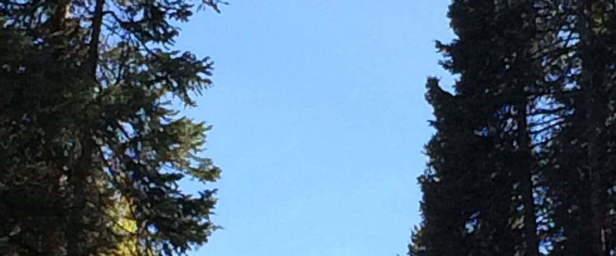 Three Lakes Trail , Gunnison, CO