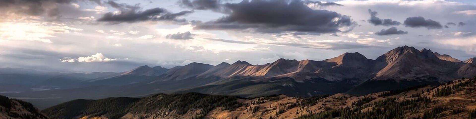 Sometimes it pays to look behind you...Kebler Pass this was just after driving through one of the thickest Aspen Groves I’ve seen - stunning!