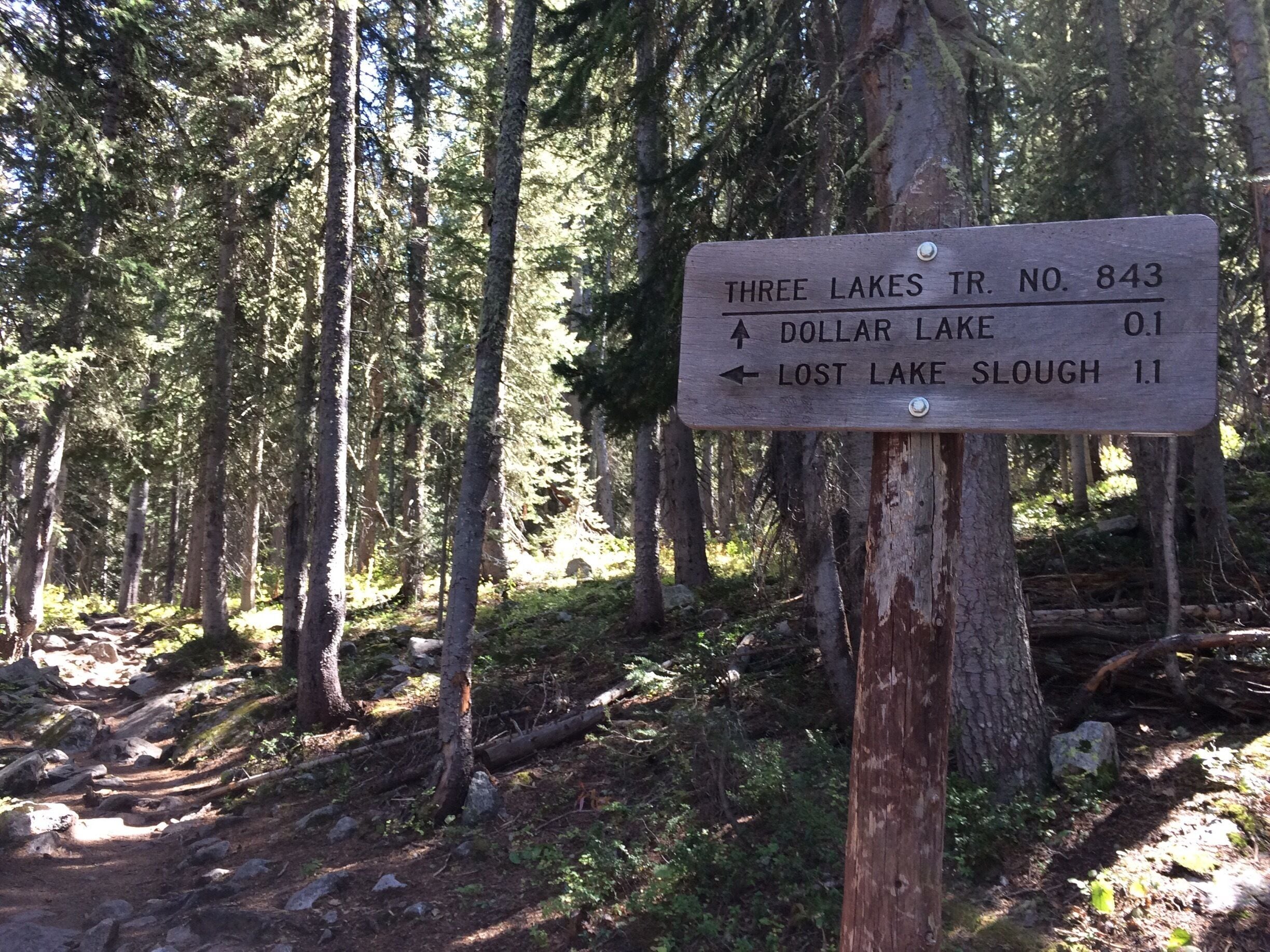 Hiking in Gunnison, Colorado.
