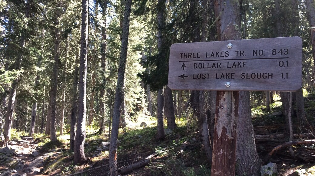 Hiking in Gunnison, Colorado.