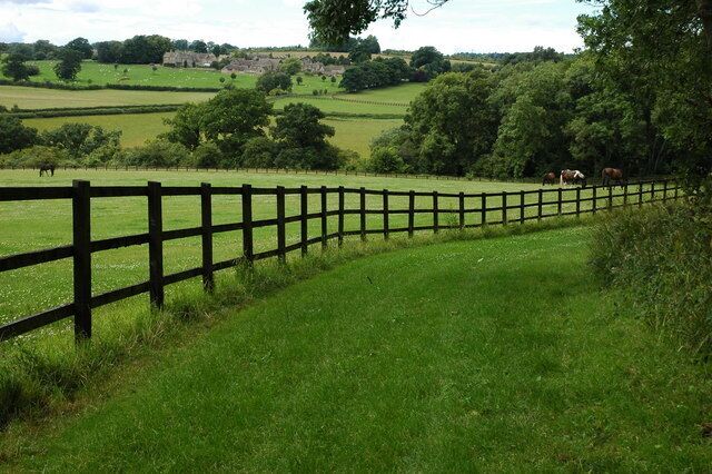 A rural landscape with a wooden fence, green fields, and distant trees.