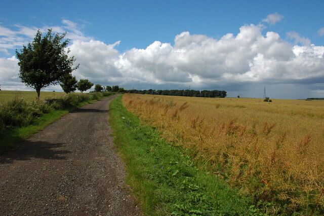 Bridleway to the north of Yanworth Bridleway from Yanworth to Compton Abdale, in the field on the right is a ripening crop of oil seed rape.