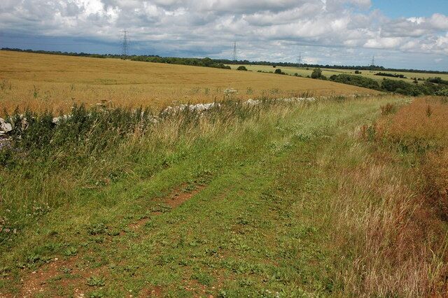 Field headland, Yanworth Headland along the side of a field with a crop of oil seed rape.