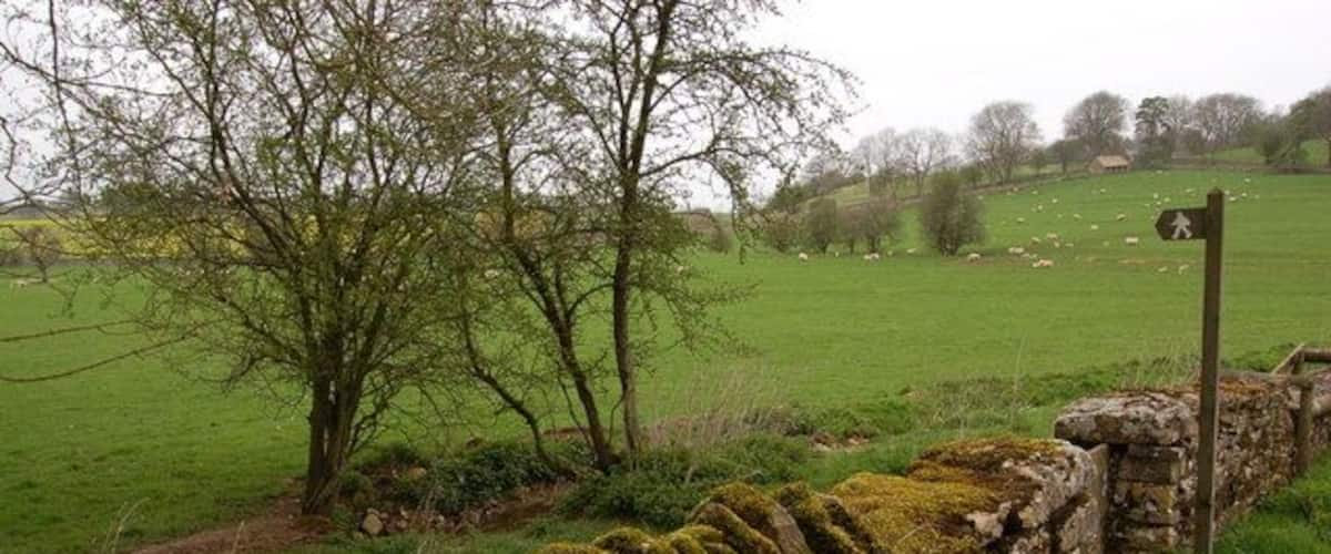 Sheep pasture near Stowell Mill View looks north-westwards from a spot close to the River Coln at Stowell mill.