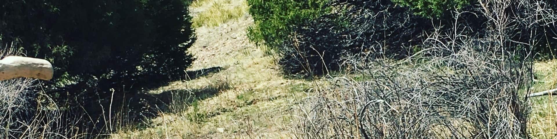 Second favorite hot spring.