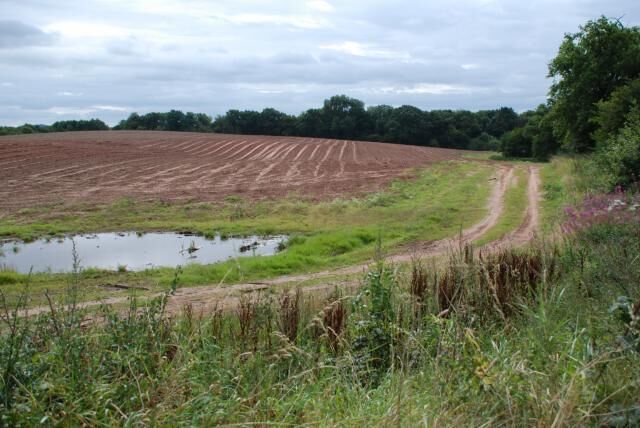 Track and Pool Another freshly sown field