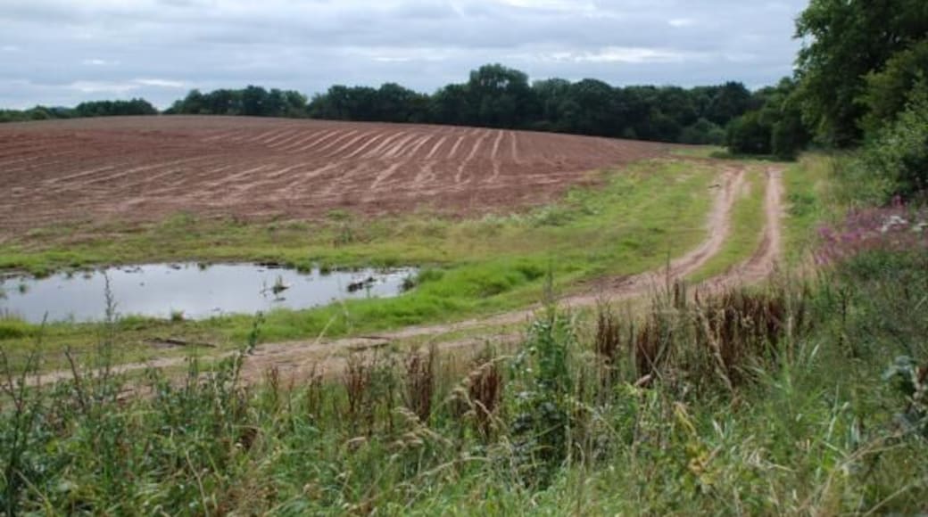 Track and Pool Another freshly sown field