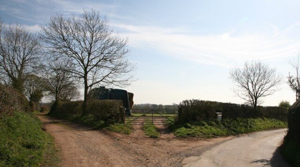 Fork in Lane at Tunstall Tunstall Lane is to the left in the photograph. It is not recommended for cars and appears to be used as a bridle way.