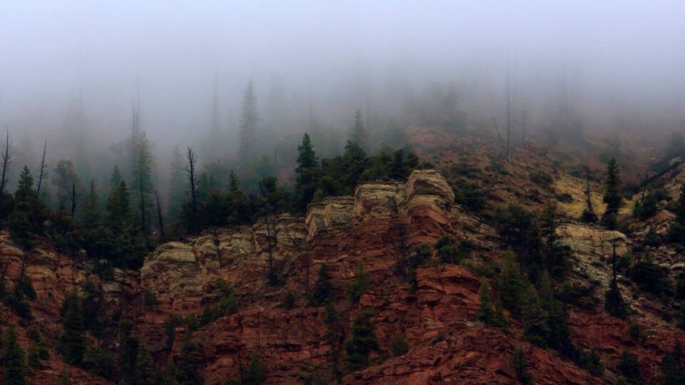 A rugged canyon with red rock formations and dense forest.