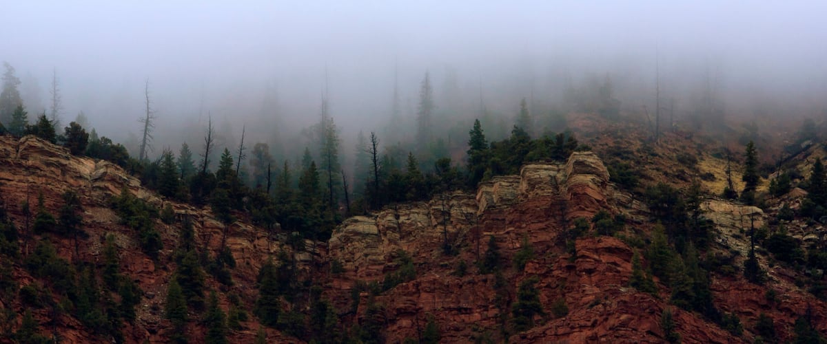 A rugged canyon with red rock formations and dense forest.