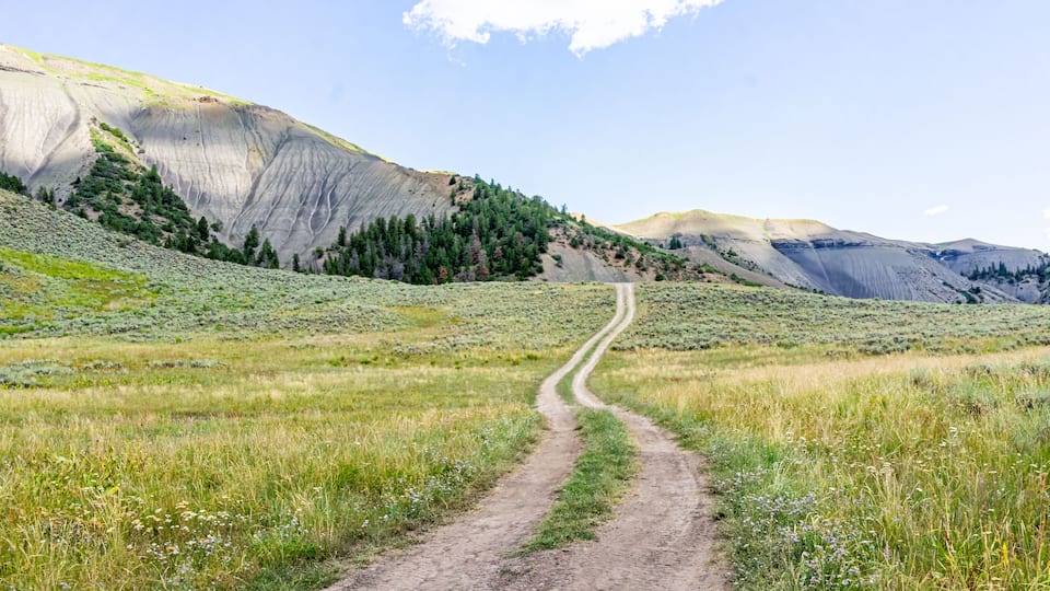 A dirt road winding through a grassy field with mountains in the background.