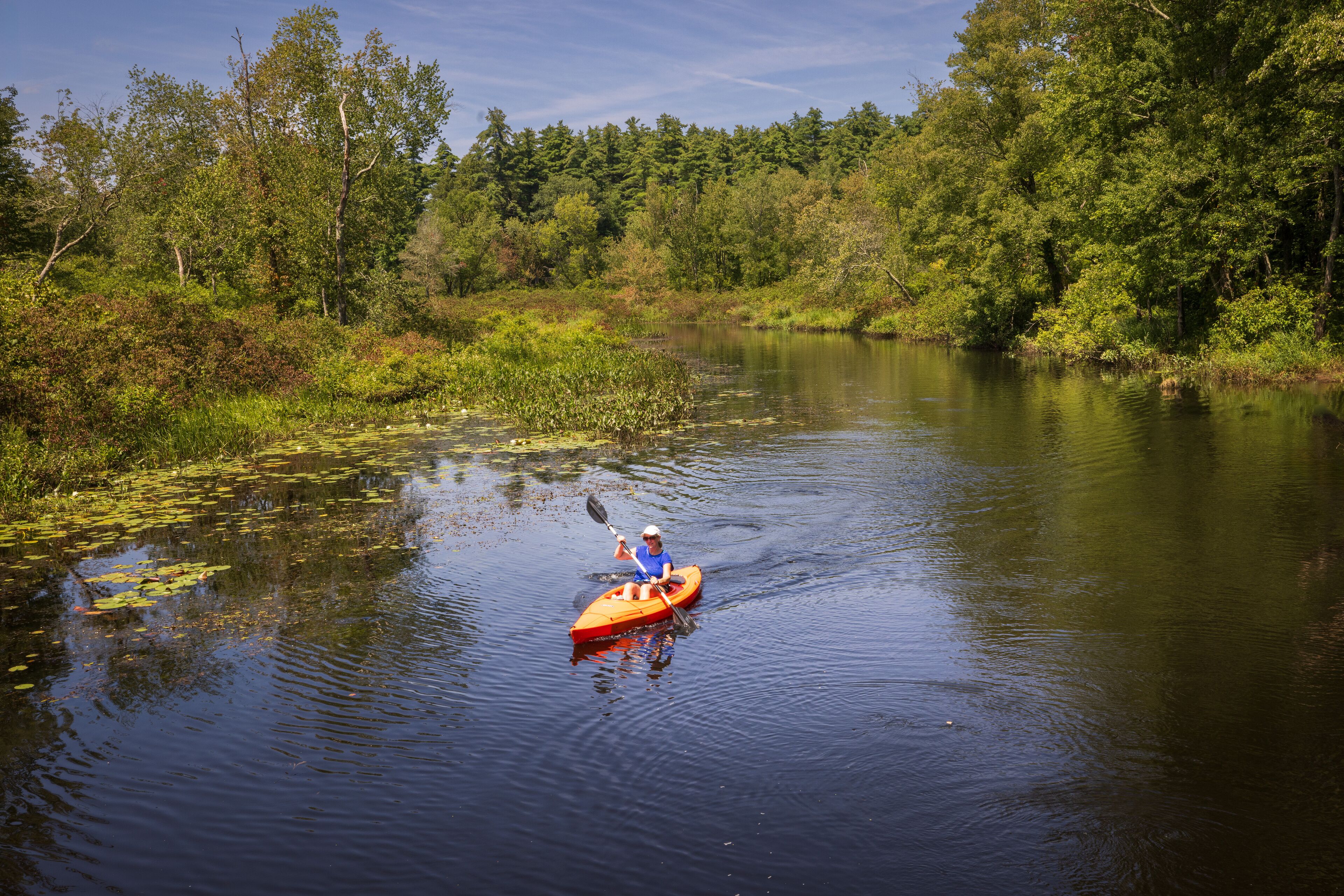Kayaking on the Bantam River at the White Memorial Foundation nature preserve in Litchfield, Connecticut. 