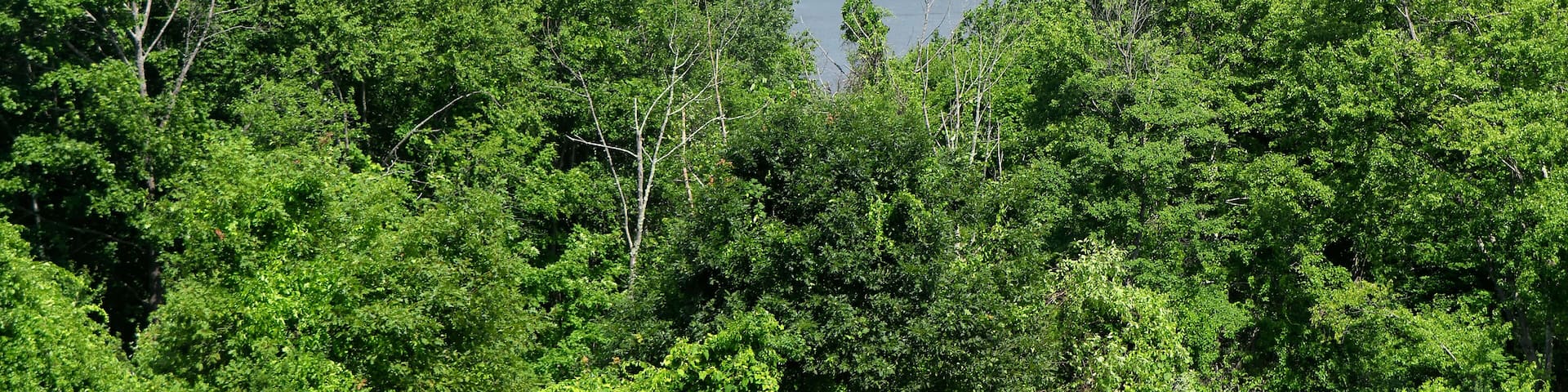Bantam Lake Morris Connecticut landscape