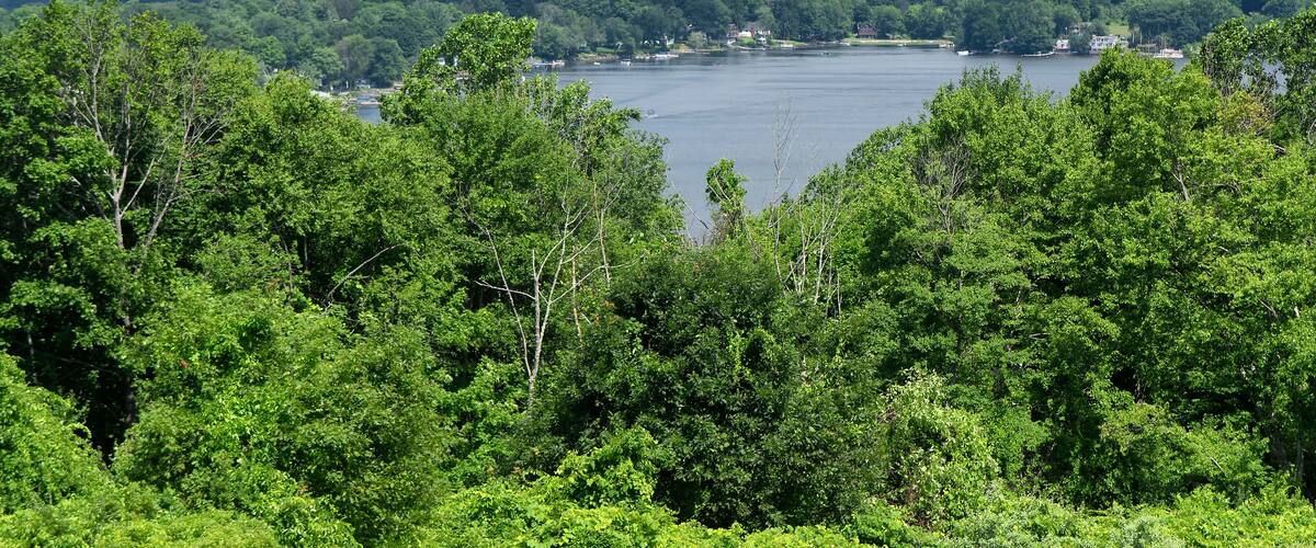A lake surrounded by dense green forest and rolling hills.