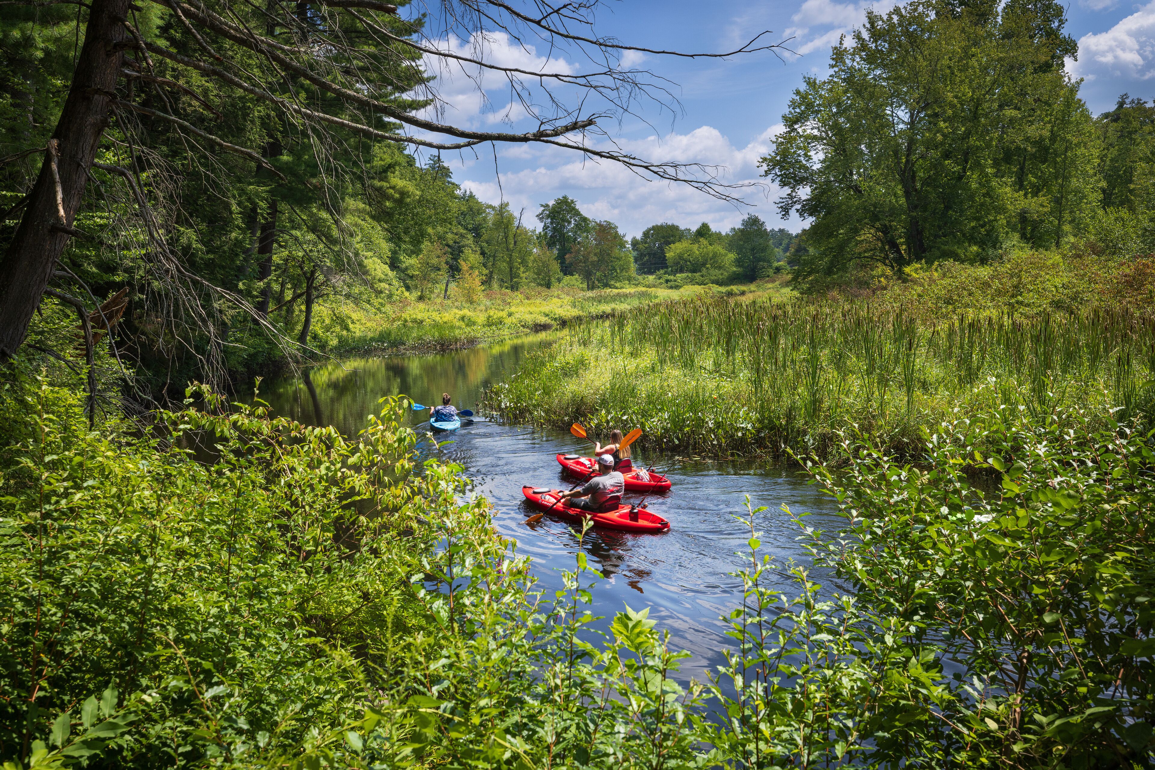 Kayaking on the Bantam River in White Memorial Foundation nature preserve, Litchfield, Connecticut. 