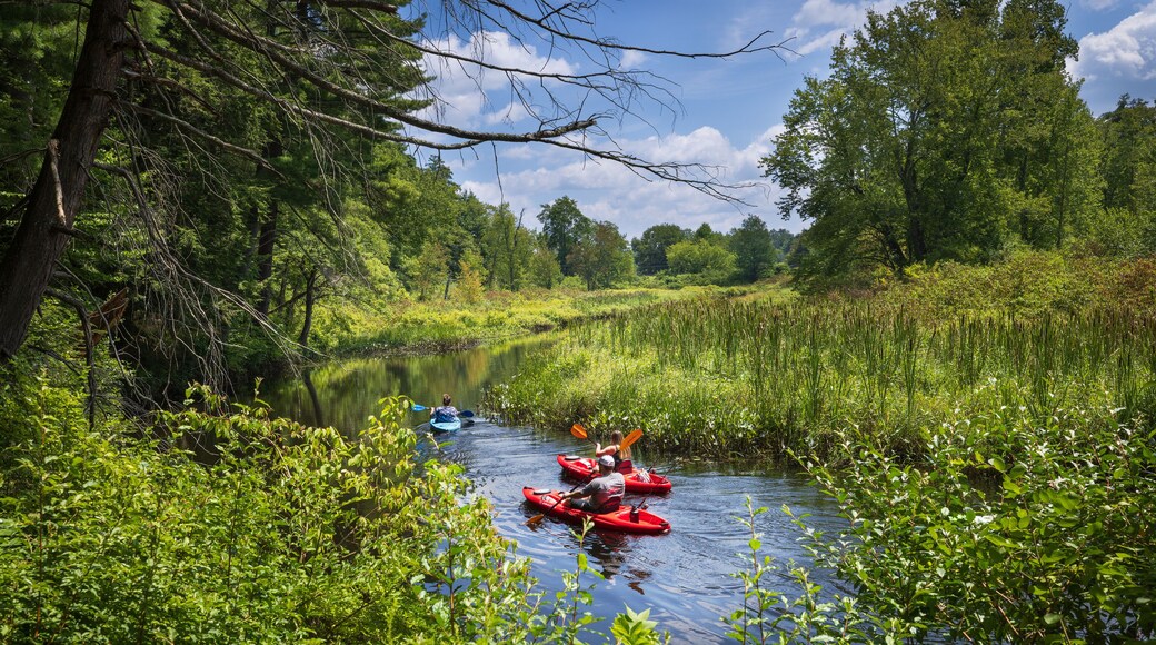 Kayaking on the Bantam River in White Memorial Foundation nature preserve, Litchfield, Connecticut.