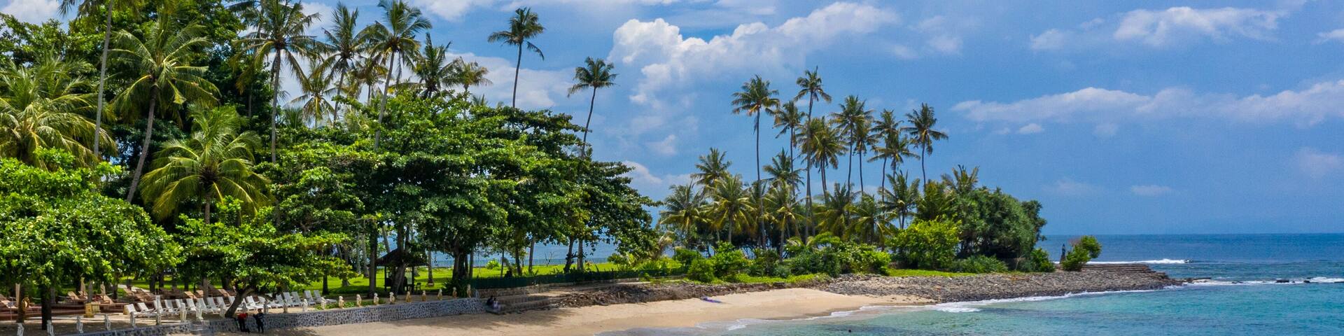 A clear turquoise sea, a sandy beach, and palm trees under a blue sky.